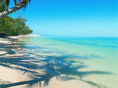 Bedarra Island Hotell Great Barrier Reef Eksteriør bilde